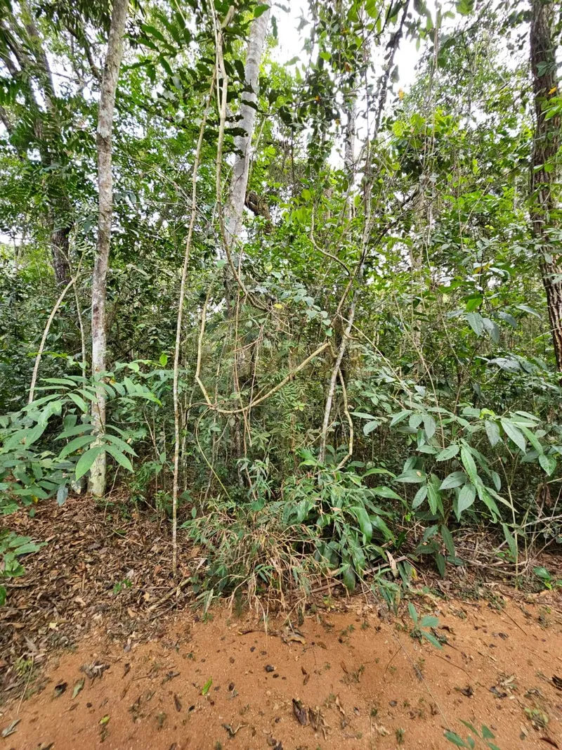 Chácara em Luziânia/Goiás — Ref PZ414D — Imagem 75