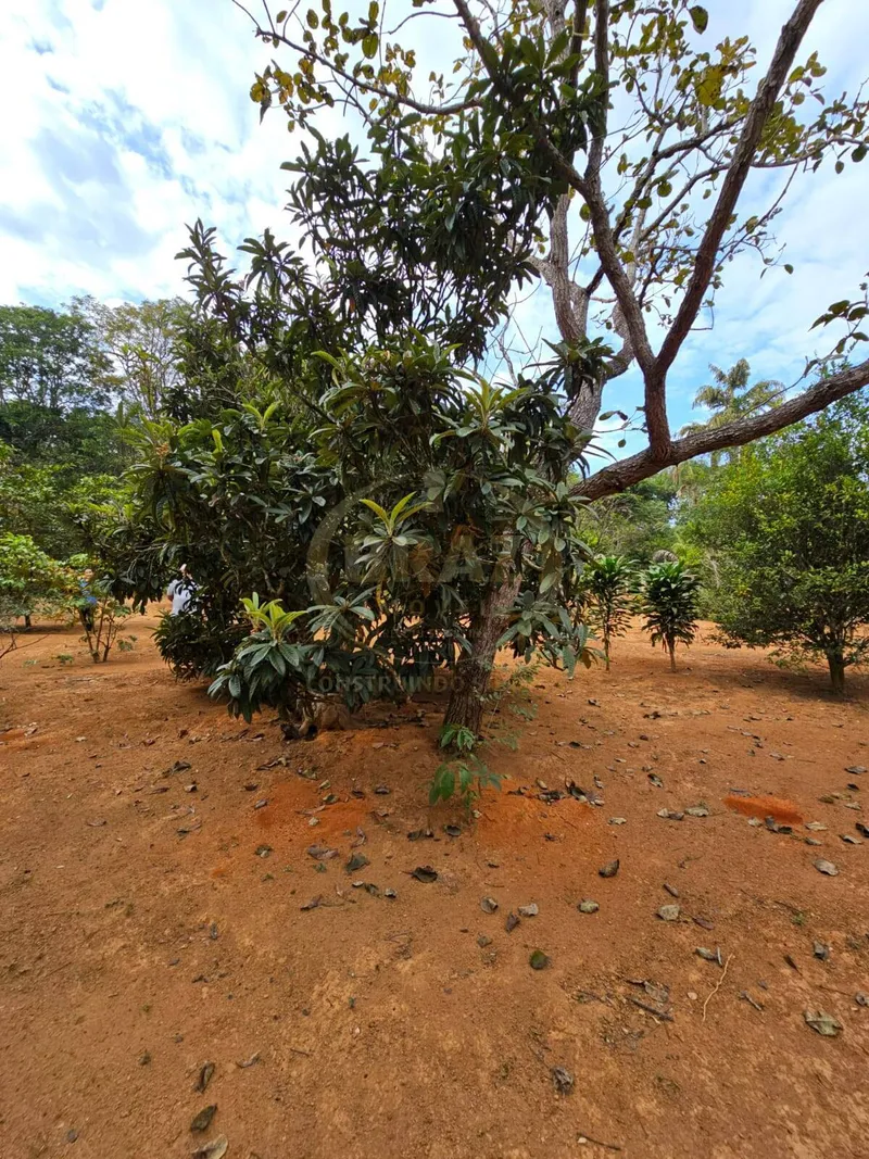 Chácara em Luziânia/Goiás — Ref PZ414D — Imagem 76