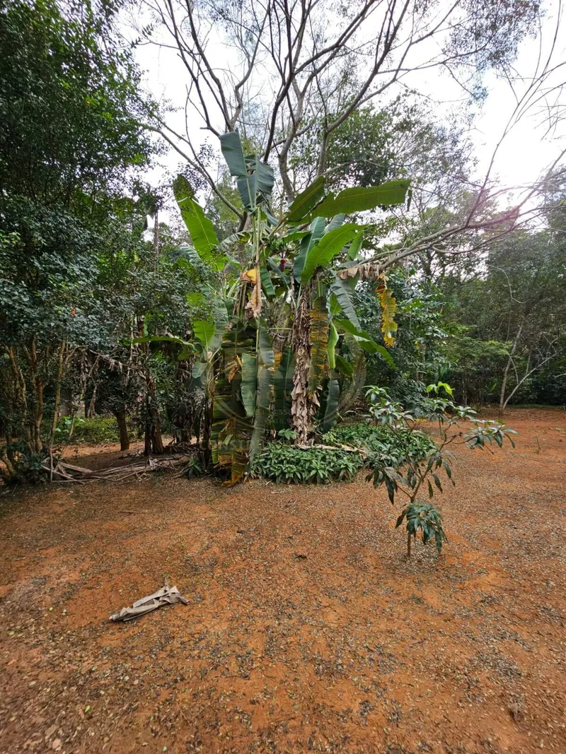 Chácara em Luziânia/Goiás — Ref PZ414D — Imagem 77