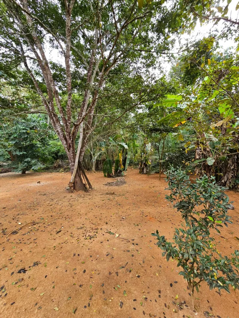 Chácara em Luziânia/Goiás — Ref PZ414D — Imagem 78