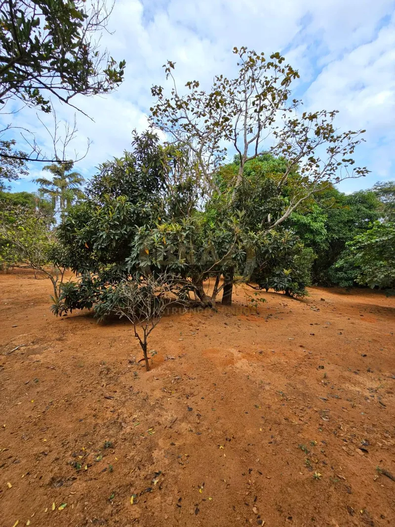 Chácara em Luziânia/Goiás — Ref PZ414D — Imagem 82