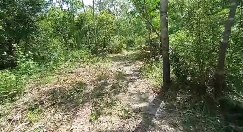 Fazenda em Minaçu/Goiás — Ref V00CUK — Imagem 3