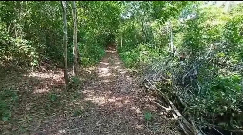 Fazenda em Minaçu/Goiás — Ref V00CUK — Imagem 4