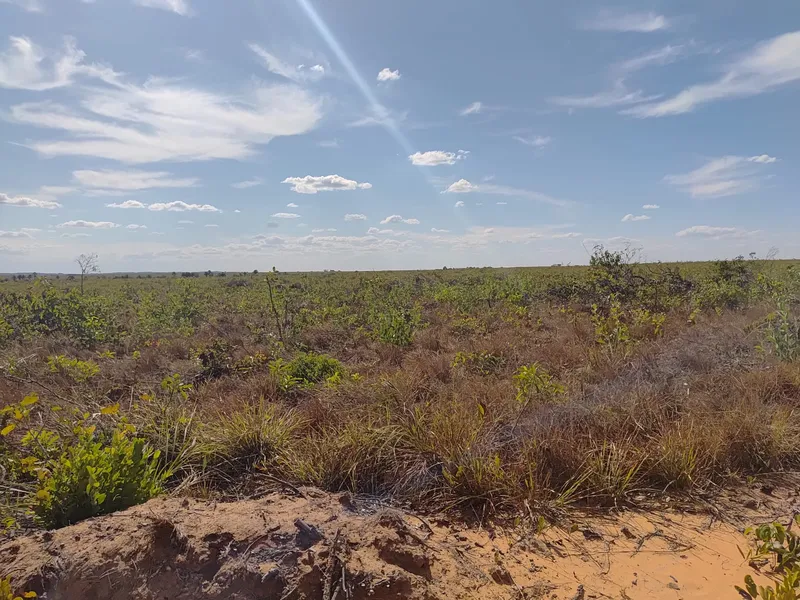 Imóvel rural em Ponte Alta do Tocantins/Tocantins — Ref SA9NXT1