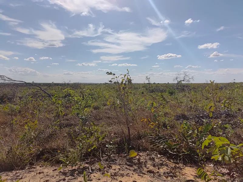 Fazenda em Ponte Alta do Tocantins/Tocantins — Ref SA9NXT — Imagem 2