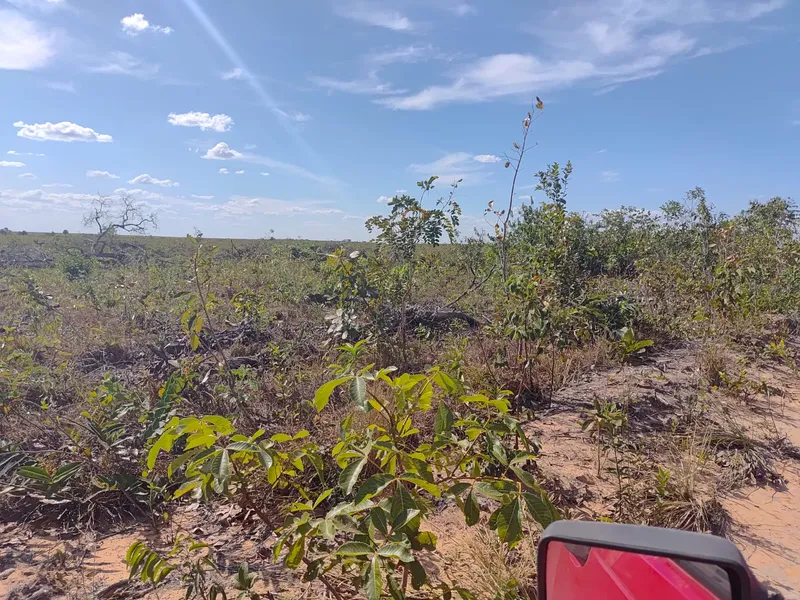 Fazenda em Ponte Alta do Tocantins/Tocantins — Ref SA9NXT — Imagem 16