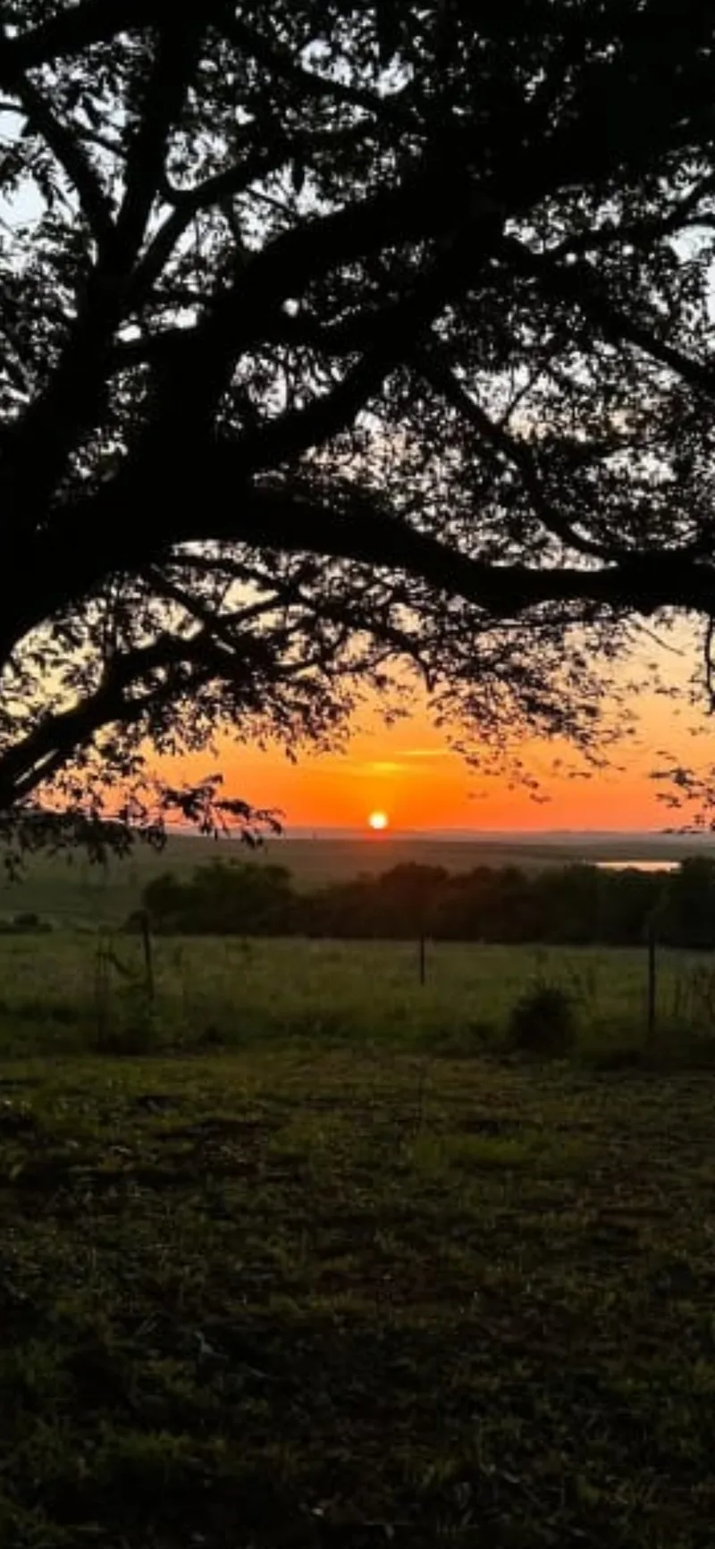 Fazenda em Rosário do Sul/Rio Grande do Sul — Ref 3URSYS — Imagem 8