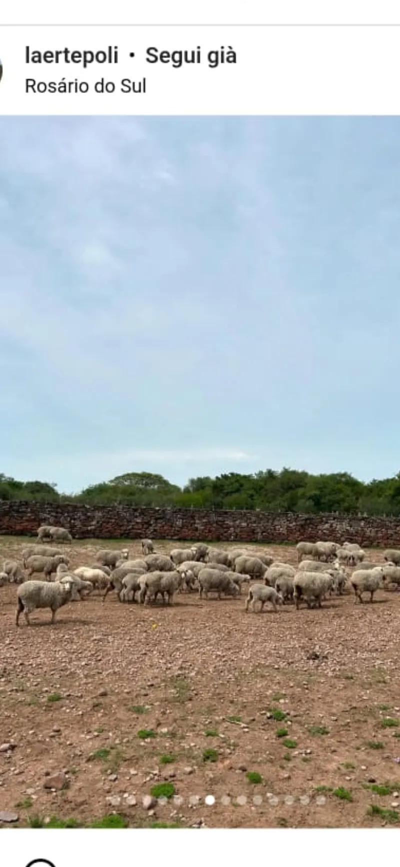 Fazenda em Rosário do Sul/Rio Grande do Sul — Ref 3URSYS — Imagem 7