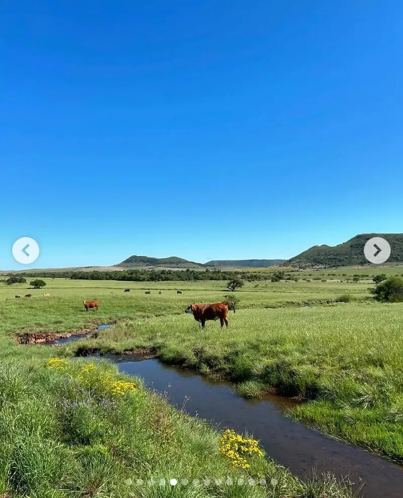 Fazenda em Rosário do Sul/Rio Grande do Sul — Ref 3URSYS — Imagem 5