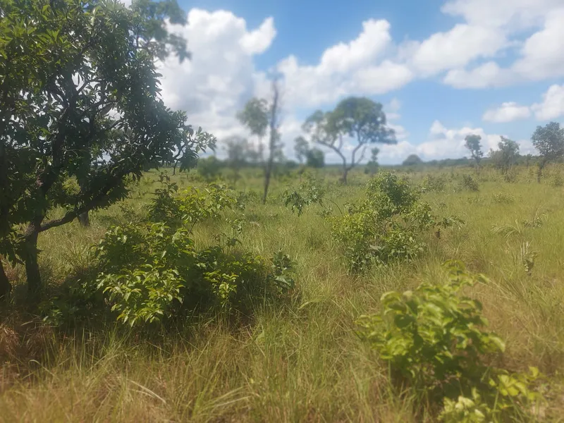 Fazenda em Rio Sono/Tocantins — Ref BG8IC4 — Imagem 2