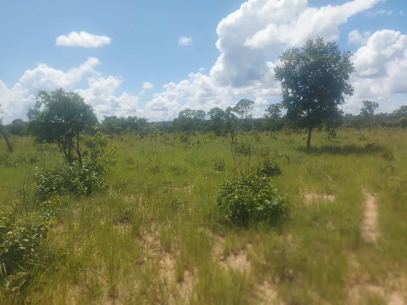 Fazenda em Rio Sono/Tocantins — Ref BG8IC4 — Imagem 3