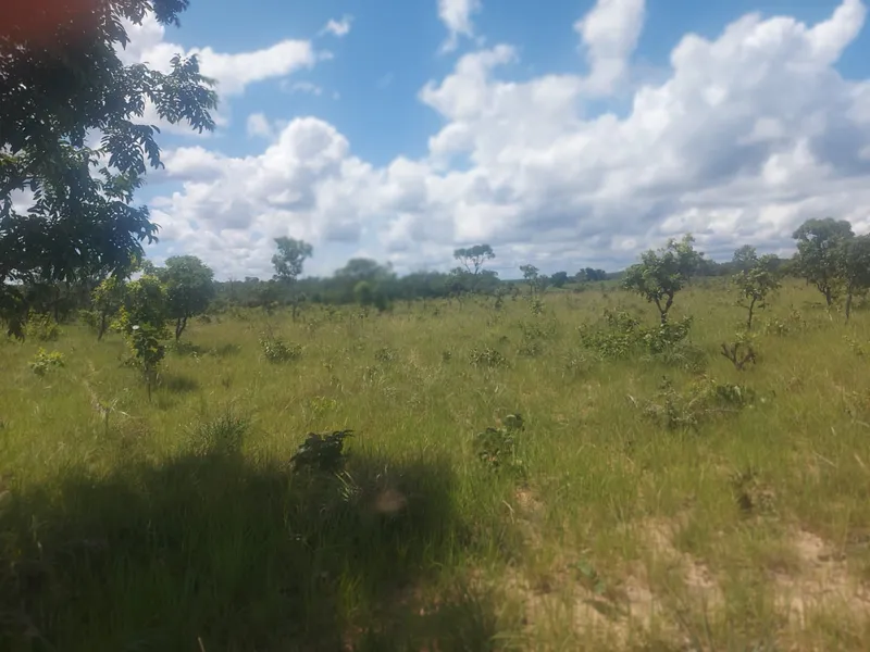 Fazenda em Rio Sono/Tocantins — Ref BG8IC4 — Imagem 4