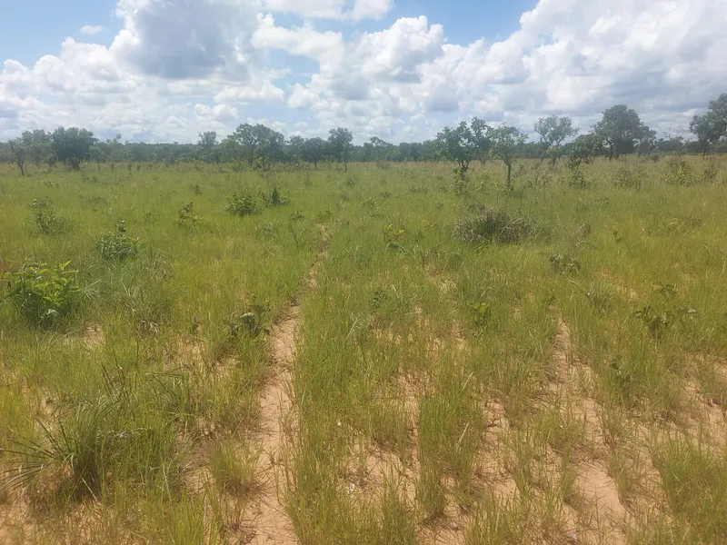 Fazenda em Rio Sono/Tocantins — Ref BG8IC4 — Imagem 5