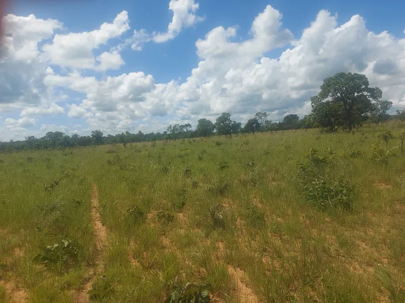 Fazenda em Rio Sono/Tocantins — Ref BG8IC4 — Imagem 6