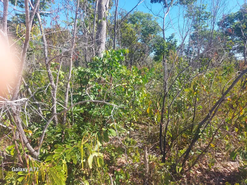 Fazenda em Ponte Alta do Tocantins/Tocantins — Ref SAHUIU — Imagem 4