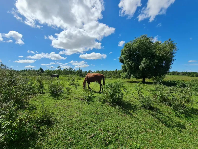Fazenda em Araruama/Rio de Janeiro — Ref BMRI13 — Imagem 3