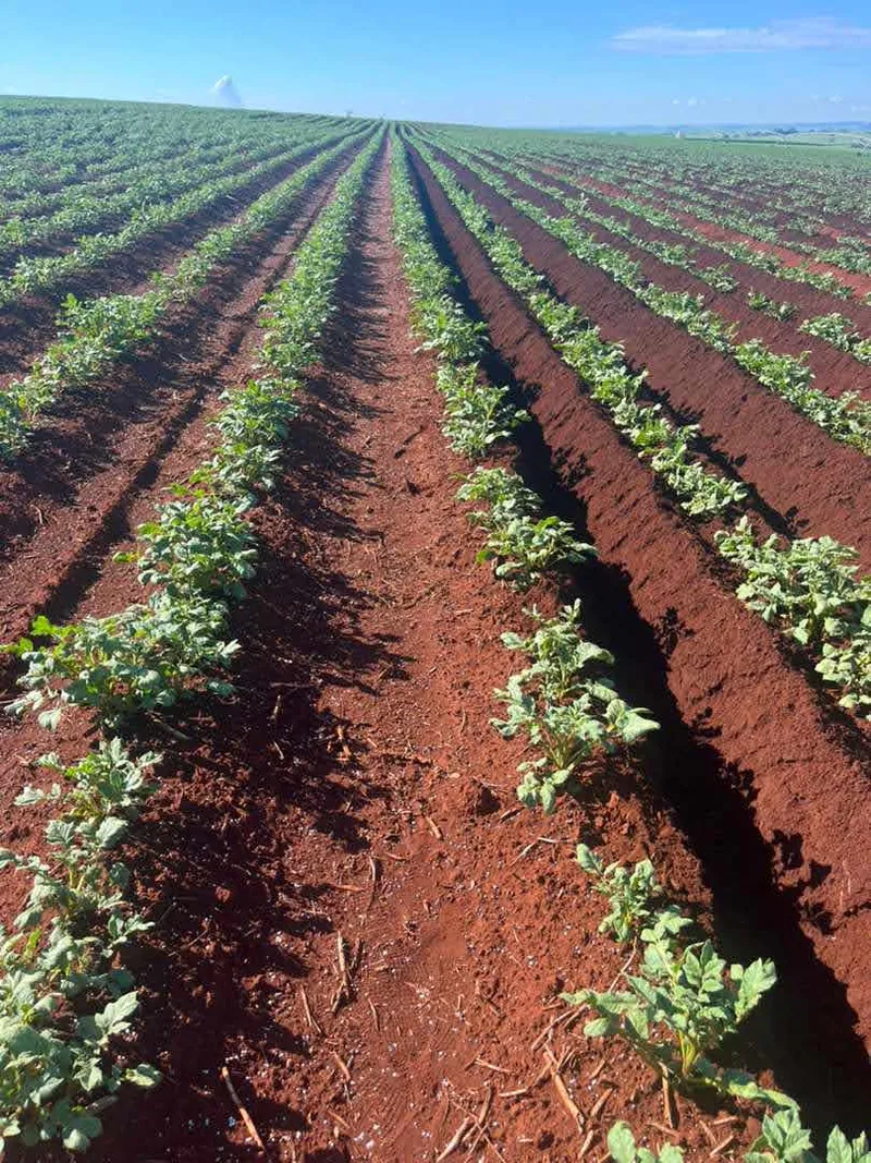 Fazenda em Franca/São Paulo — Ref RVL7UG — Imagem 13