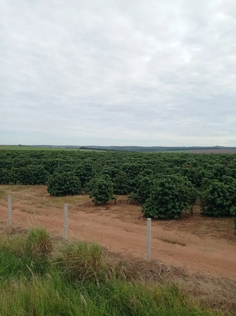 Fazenda em Franca/São Paulo — Ref RVL7UG — Imagem 5