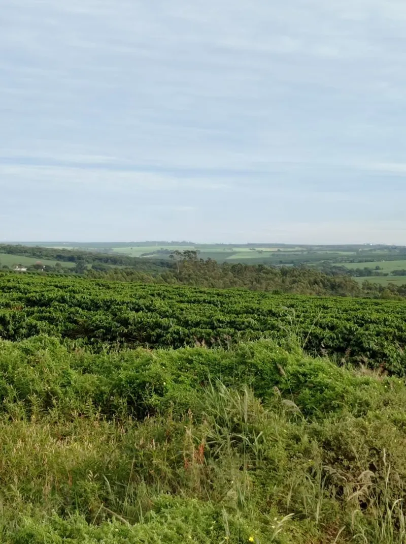 Fazenda em Franca/São Paulo — Ref RVL7UG — Imagem 10