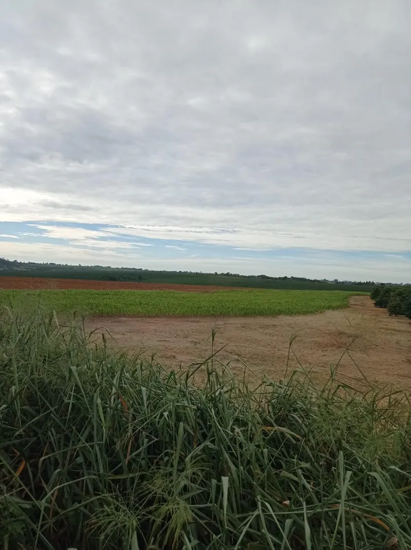 Fazenda em Franca/São Paulo — Ref RVL7UG — Imagem 8
