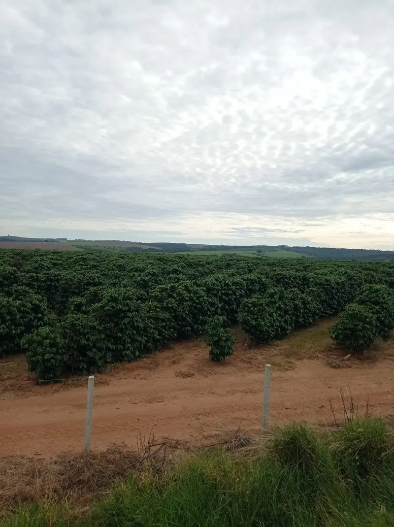 Fazenda em Franca/São Paulo — Ref RVL7UG — Imagem 6