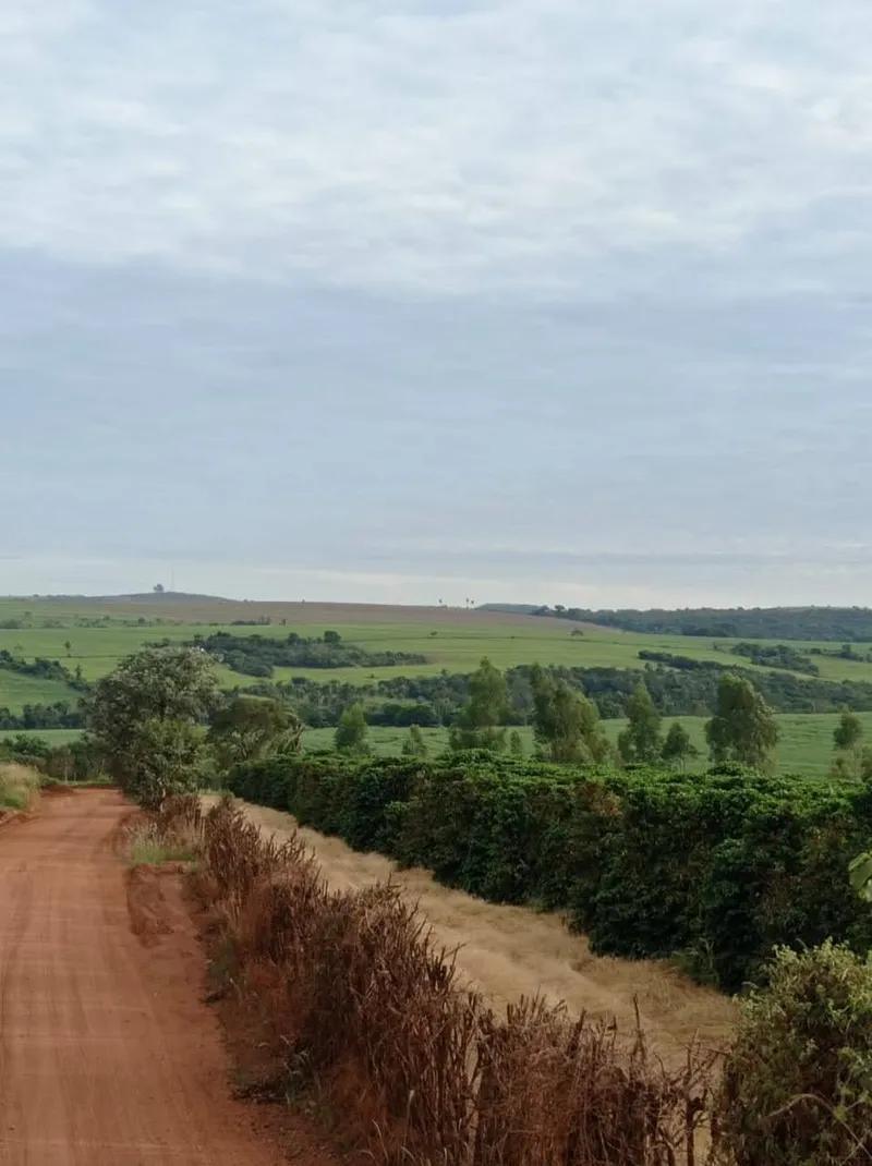 Fazenda em Franca/São Paulo — Ref RVL7UG — Imagem 3