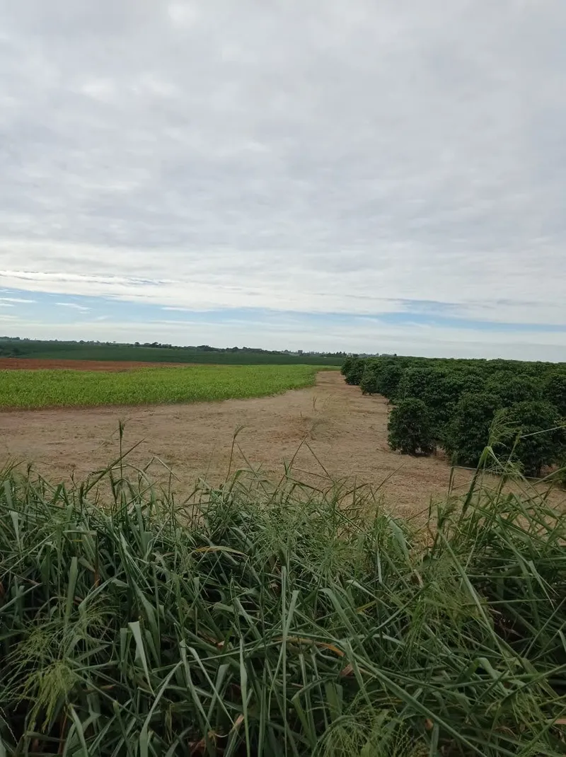 Fazenda em Franca/São Paulo — Ref RVL7UG — Imagem 9