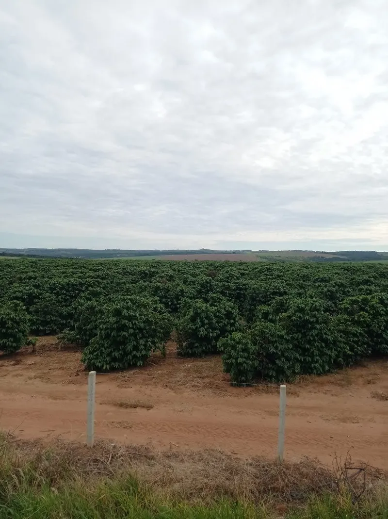 Fazenda em Franca/São Paulo — Ref RVL7UG — Imagem 7