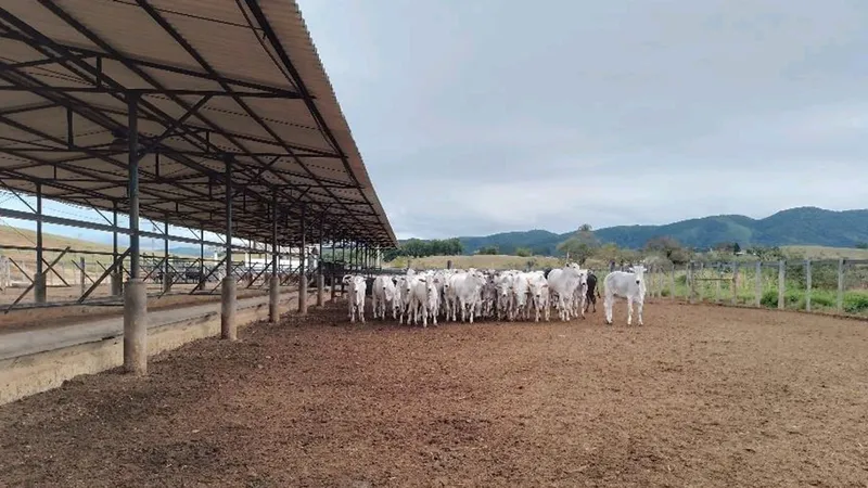 Fazenda em Caçapava/São Paulo — Ref CMBZKU — Imagem 8
