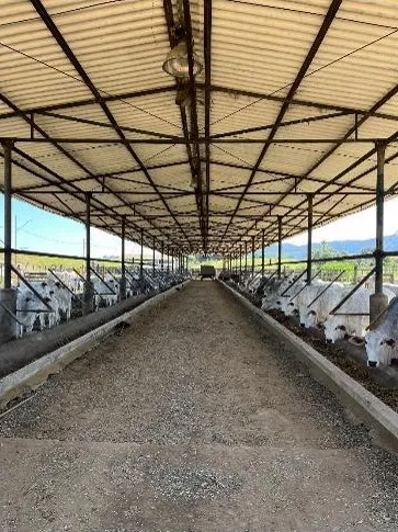 Fazenda em Caçapava/São Paulo — Ref CMBZKU — Imagem 5