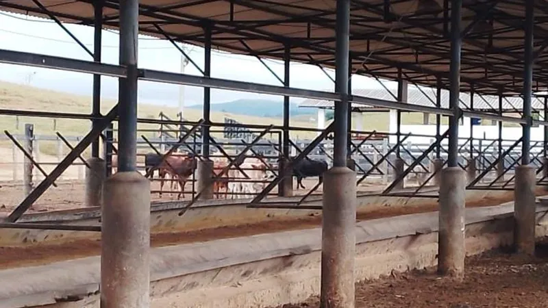 Fazenda em Caçapava/São Paulo — Ref CMBZKU — Imagem 23