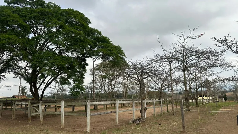 Haras em Caçapava/São Paulo — Ref 33IR2L — Imagem 10
