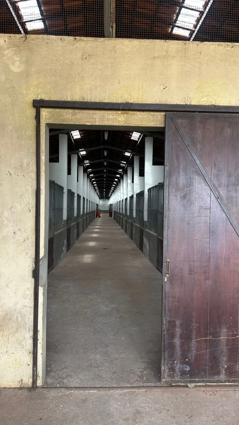 Haras em Caçapava/São Paulo — Ref 33IR2L — Imagem 24