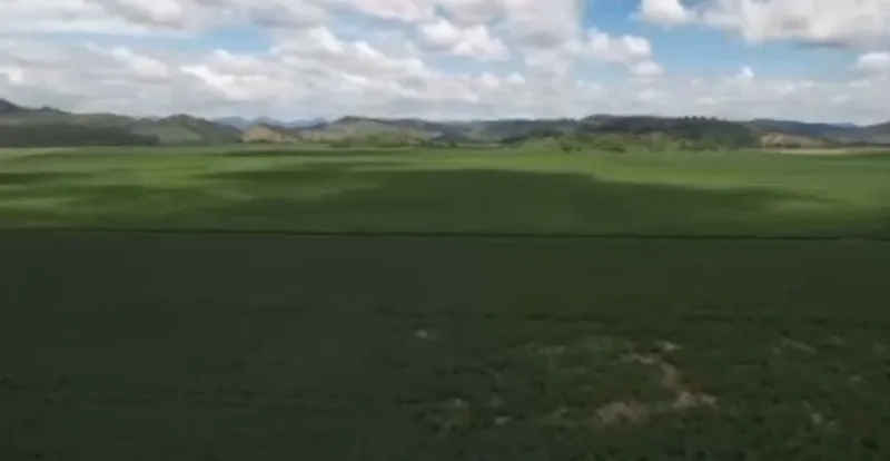 Fazenda em Rio Casca/Minas Gerais — Ref 9IEOB3 — Imagem 9