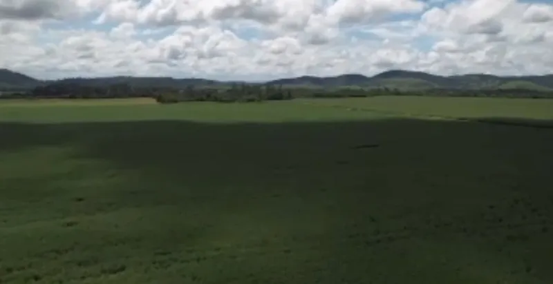 Fazenda em Rio Casca/Minas Gerais — Ref 9IEOB3 — Imagem 10
