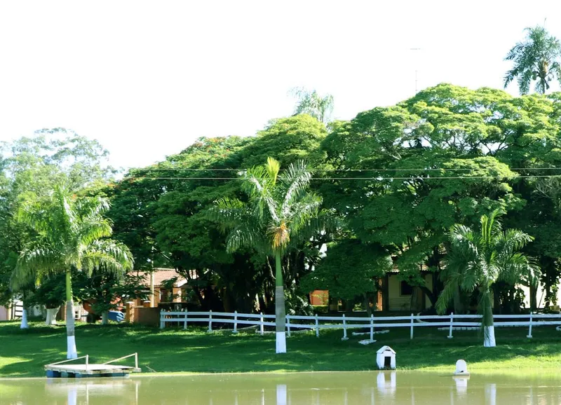 Sítio em Pereiras/São Paulo — Ref LRBOXF — Imagem 2