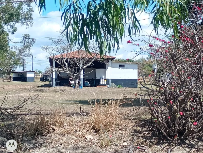 Haras em Porto Feliz/São Paulo — Ref SYF0HU — Imagem 20