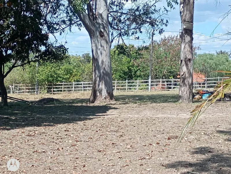 Haras em Porto Feliz/São Paulo — Ref SYF0HU — Imagem 21