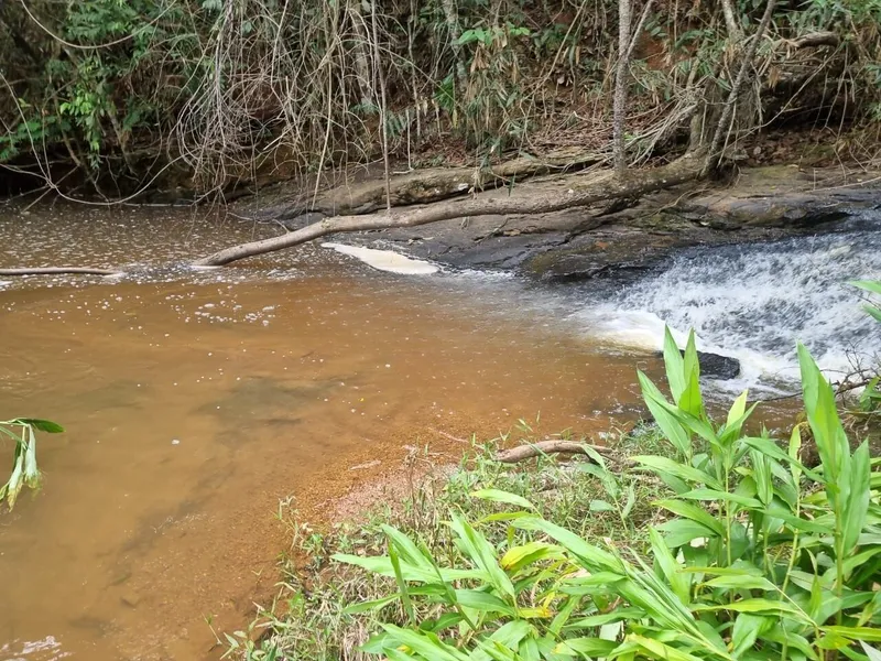 Fazenda em Juiz de Fora/Minas Gerais — Ref 162PDT — Imagem 10