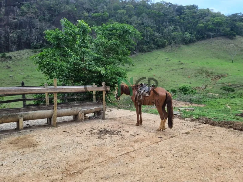 Fazenda em Juiz de Fora/Minas Gerais — Ref 162PDT — Imagem 12