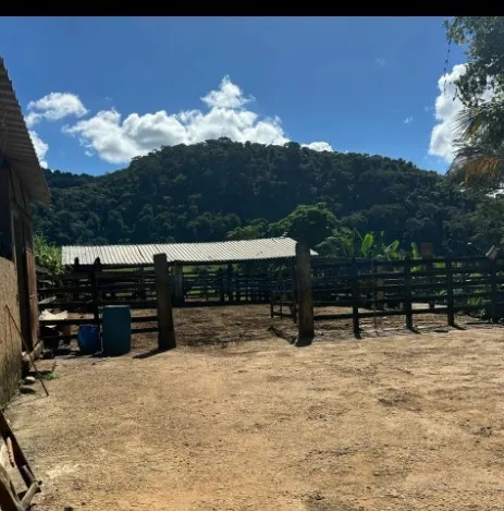 Fazenda em Juiz de Fora/Minas Gerais — Ref 162PDT — Imagem 15