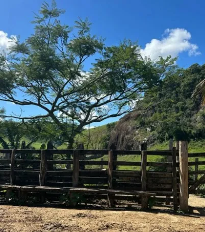 Fazenda em Juiz de Fora/Minas Gerais — Ref 162PDT — Imagem 19