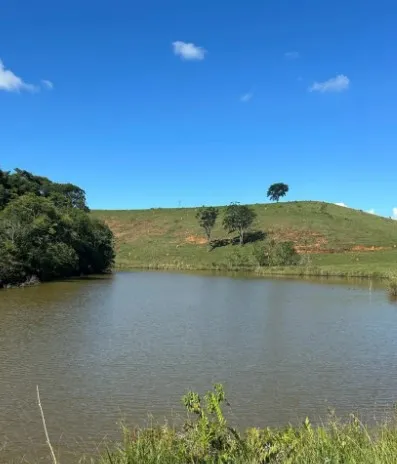 Fazenda em Juiz de Fora/Minas Gerais — Ref 162PDT — Imagem 7