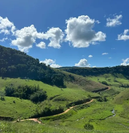 Fazenda em Juiz de Fora/Minas Gerais — Ref 162PDT — Imagem 22