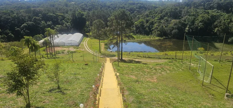 Sítio em São Roque/São Paulo — Ref NZD3RC — Imagem 5