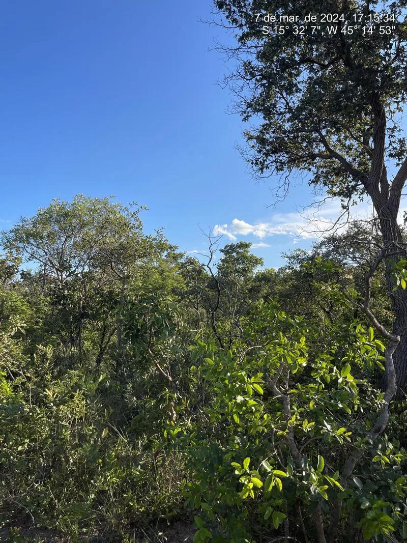 Fazenda em Chapada Gaúcha/Minas Gerais — Ref NEOTGZ — Imagem 5