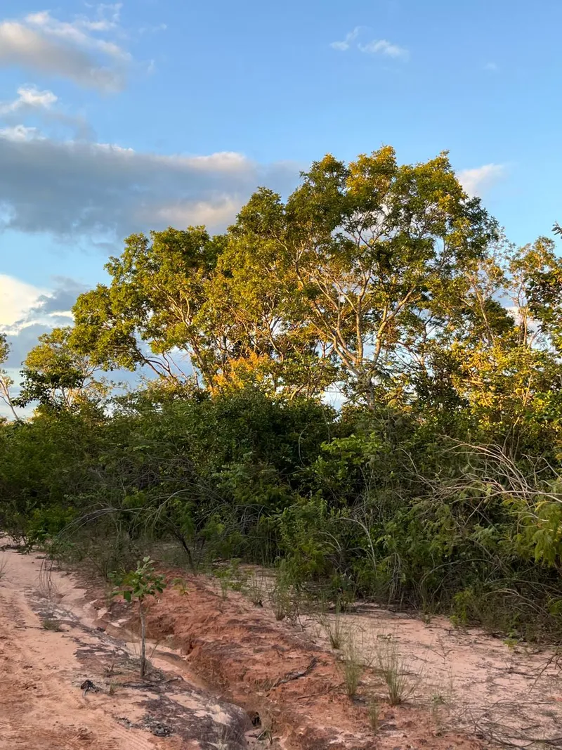 Fazenda em Chapada Gaúcha/Minas Gerais — Ref NEOTGZ — Imagem 6