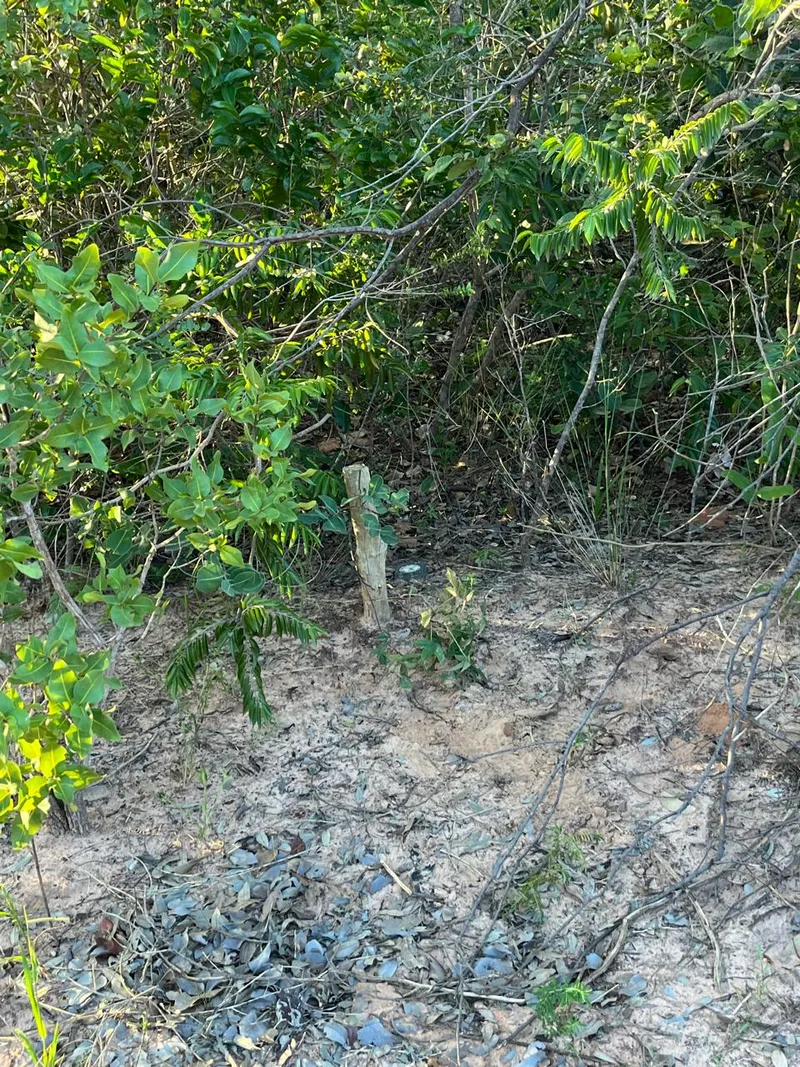 Fazenda em Chapada Gaúcha/Minas Gerais — Ref NEOTGZ — Imagem 7