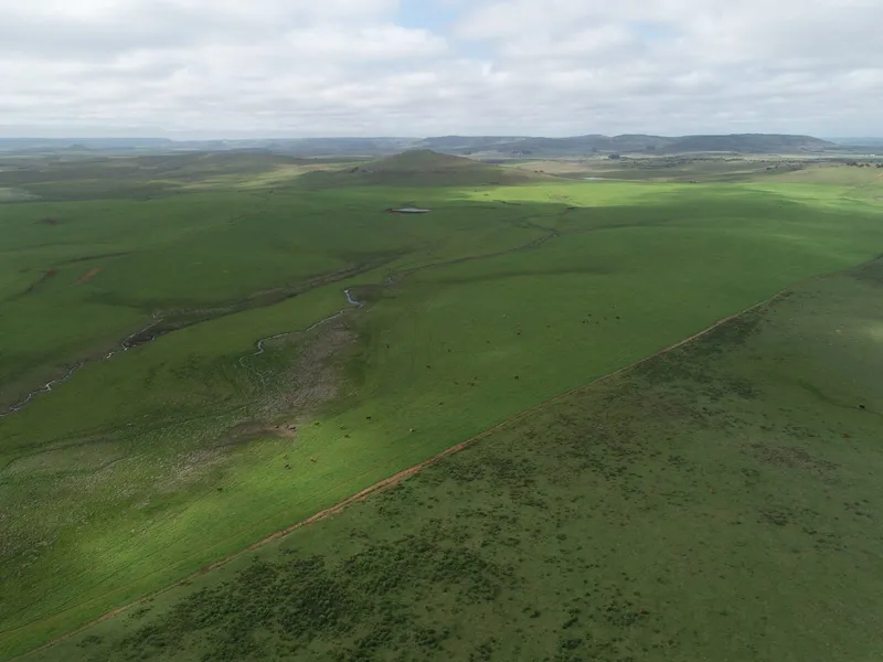 Fazenda em Rosário do Sul/Rio Grande do Sul — Ref 3URSYS — Imagem 4