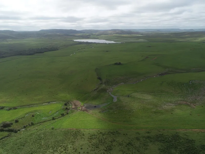 Fazenda em Rosário do Sul/Rio Grande do Sul — Ref 3URSYS — Imagem 2